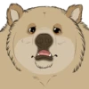 Nighty the Bear 10