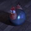 Nafise the chicken 9