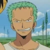 zoro roronoa 9