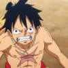 !¡ Luffy 10