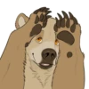 Nighty the Bear 11