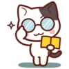 Cute Cat Daily life 10