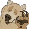 Nighty the Bear 12