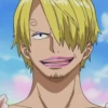 one piece 11