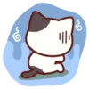Cute Cat Daily life 11