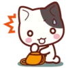 Cute Cat Daily life 12