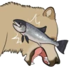 Nighty the Bear 14