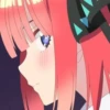 Nino 12