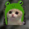 cute cats 15