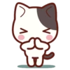 Cute Cat Daily life 13