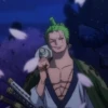 zoro roronoa 13