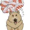Nighty the Bear 15