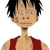 Onepiece 8