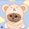 cute cats 16