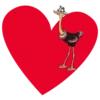 I love you 16