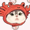 cute cats 18