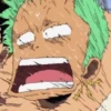 zoro roronoa 15