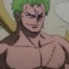 OnePieceMatrix 11