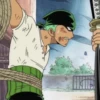zoro roronoa 17
