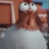 Nafise the chicken 12