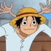 one piece 16