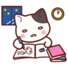 Cute Cat Daily life 18