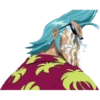Onepiece 13
