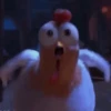 Nafise the chicken 14