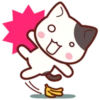Cute Cat Daily life 19