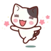 Cute Cat Daily life 20