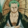 OnePieceMatrix 14