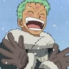 zoro roronoa 20