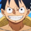 !¡ Luffy 14