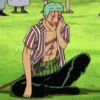 zoro roronoa 21