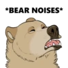Nighty the Bear 20