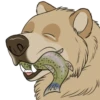 Nighty the Bear 21