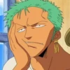 zoro roronoa 22