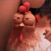 Nafise the chicken 17