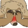 Nighty the Bear 22