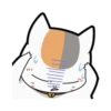 Natsume's Book of Friends 18
