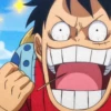 !¡ Luffy 15
