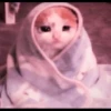 kucing.a jihan 12