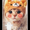 cute cats 23