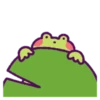 oh_my_frog 17