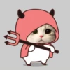 cute cats 24