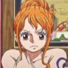 one piece 24