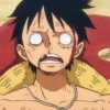 !¡ Luffy 19