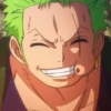 zoro roronoa 24