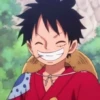 OnePieceMatrix 21
