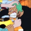 zoro roronoa 25